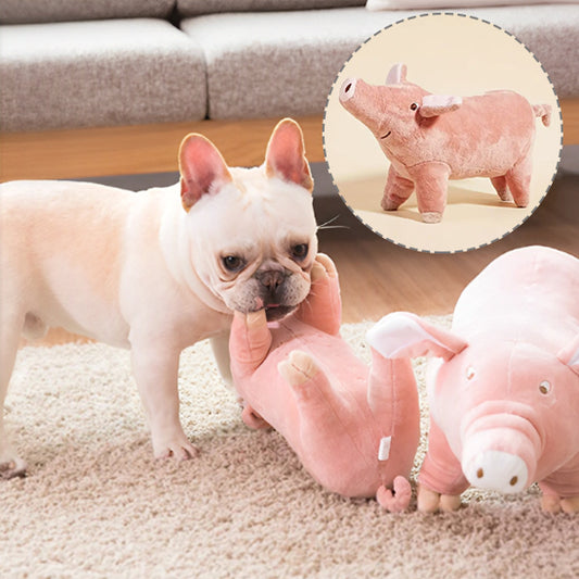 Peluche pour chien - ProjetPiggy™